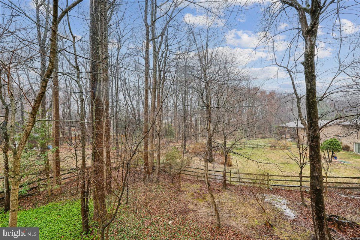 13724 Bridgewater Drive Silver Spring, MD 20904 - Photo 97 of 99 a view of a yard with trees