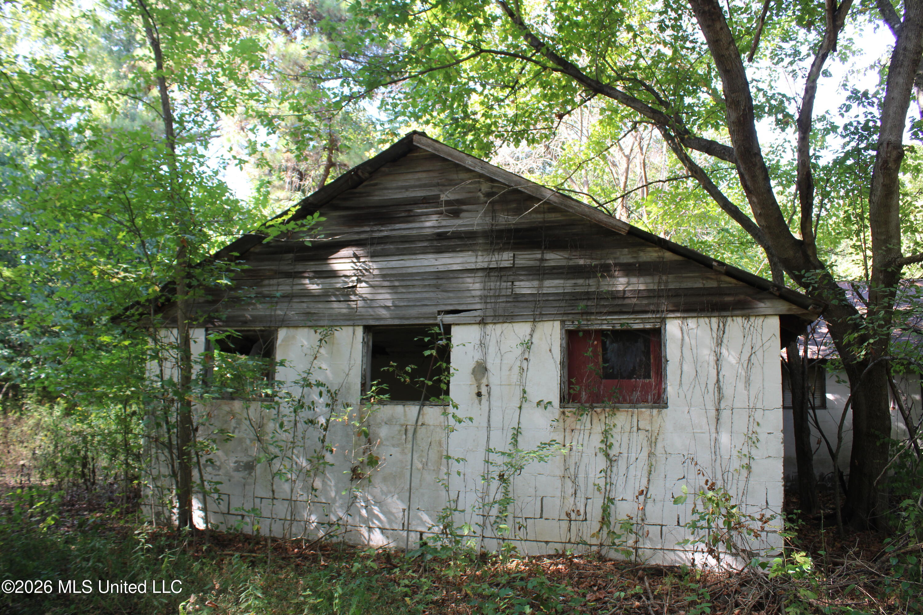 15 Tulane Road Nesbit, MS 38651 - Photo 49 of 64 IMG_8217