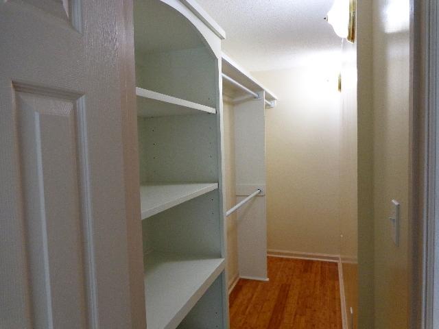 103 Iron Road Summerville, SC 29486 - Photo 18 of 30 Master Walk in Closet