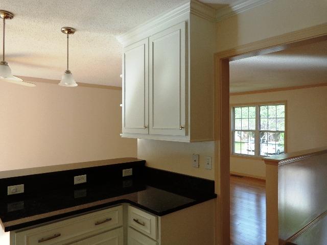 103 Iron Road Summerville, SC 29486 - Photo 7 of 30 Kitchen