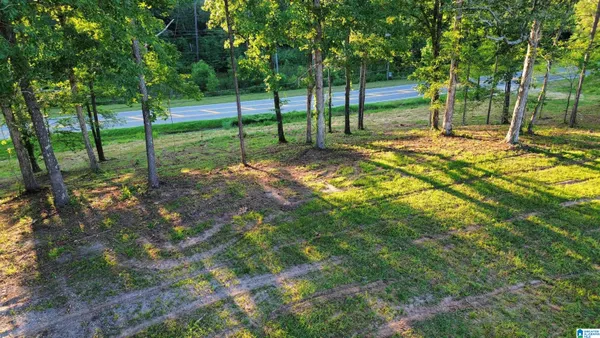$79,900 | 0 Highway 160, Unit 2 34, Warrior, AL 35180