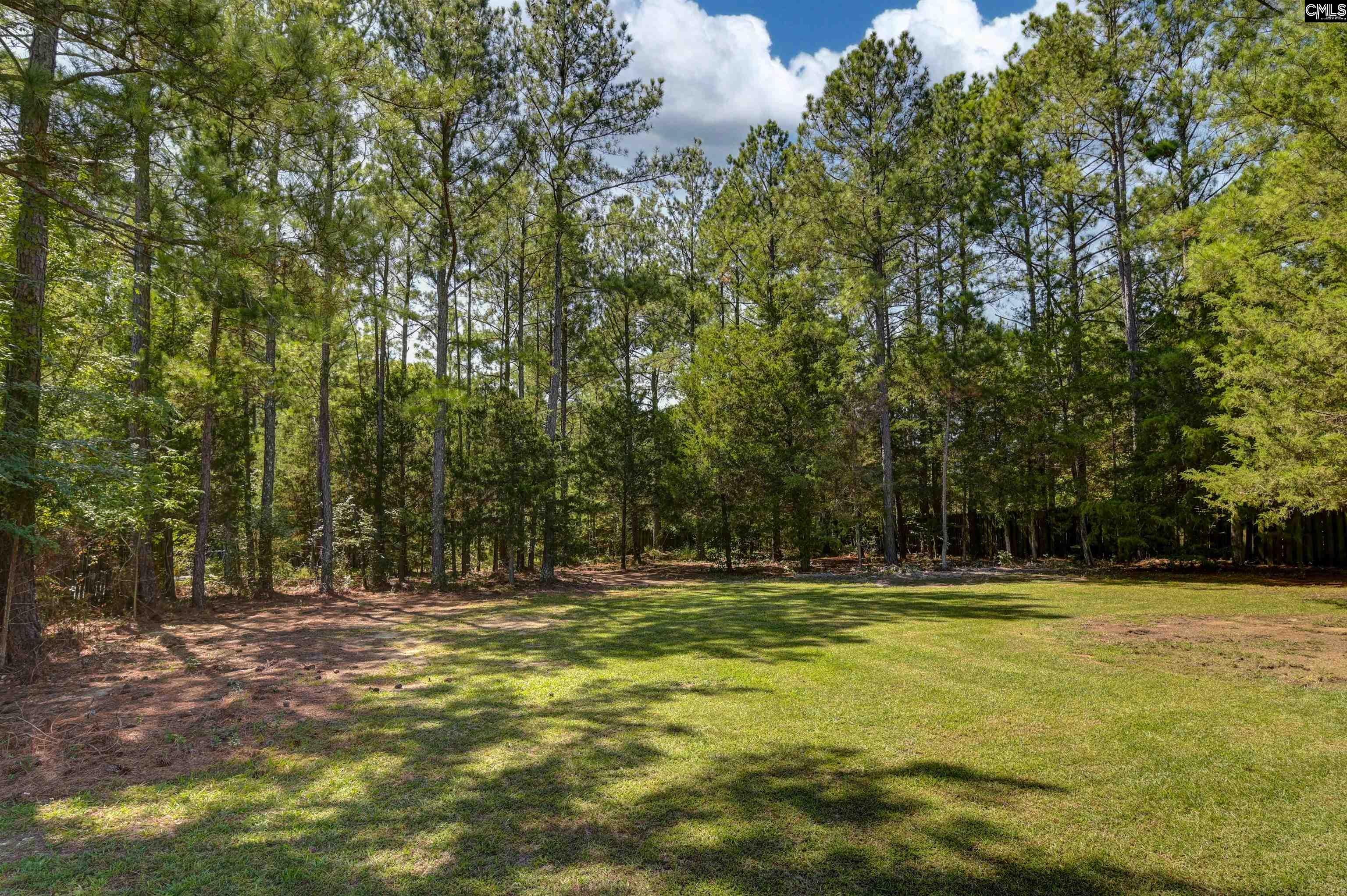 539 Old Bush River Road Chapin, SC 29036 - Photo 47 of 52 Gallery Image 47