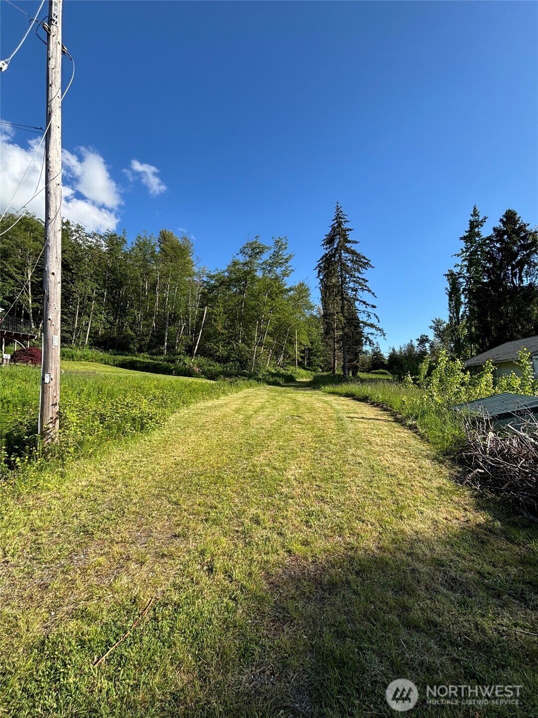 0 Anderson Road Mount Vernon, WA 98274 - Photo 5 of 6 a view of a field with a tree in the background