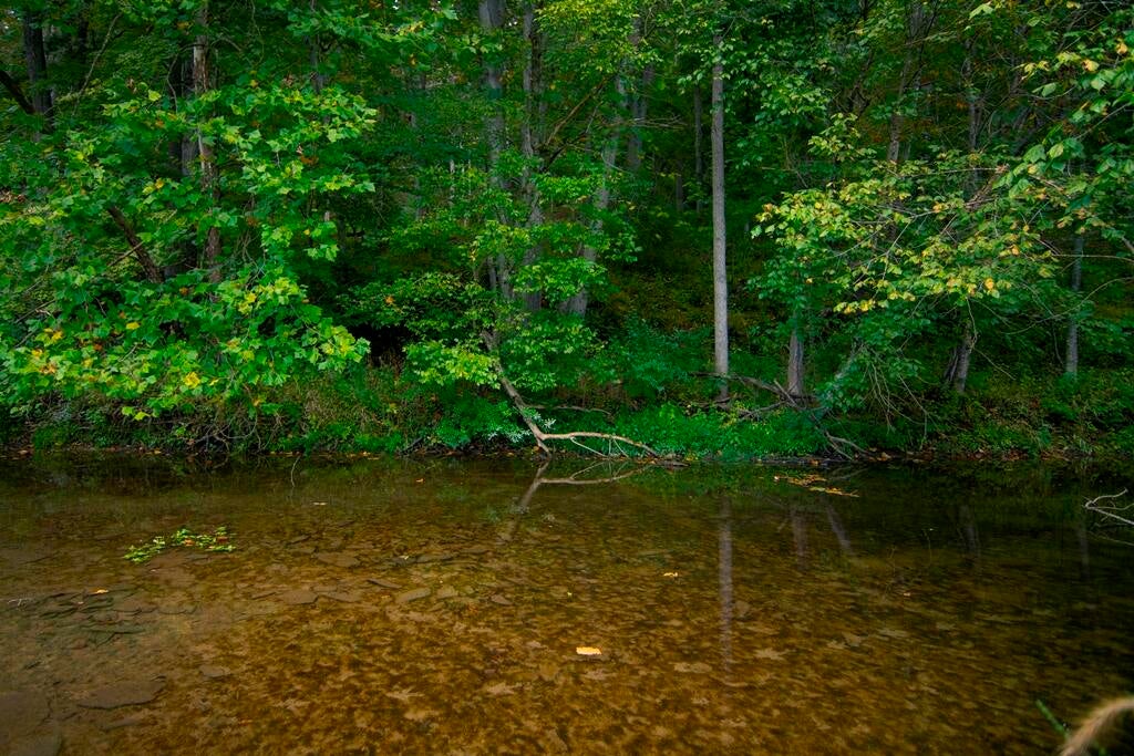 Seneca Trail Union Lindside, WV 24951 - Photo 22 of 50 Gallery Image 22