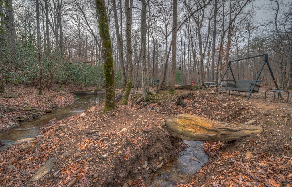 2875 Hickory Cove Murphy, NC 28906 - Photo 11 of 87 a backyard of a house with lots of green space
