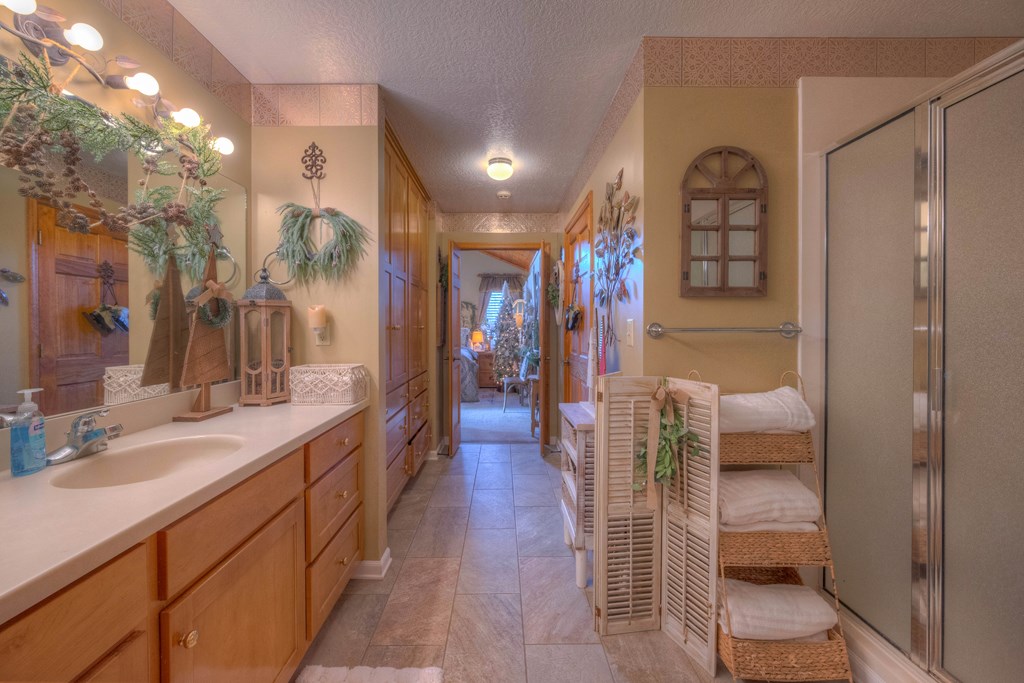 2875 Hickory Cove Murphy, NC 28906 - Photo 29 of 87 a bathroom with a sink a toilet and shower