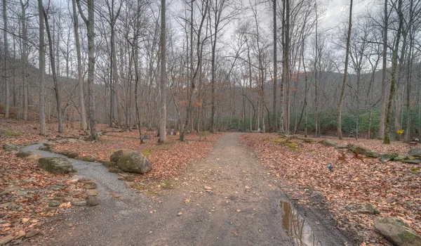 $1,449,000 | 2875 Hickory Cove, Murphy, NC 28906