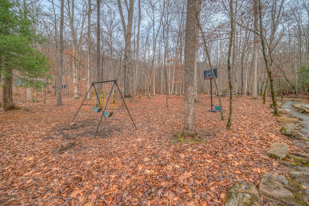 2875 Hickory Cove Murphy, NC 28906 - Photo 71 of 87 a view of outdoor space with trees