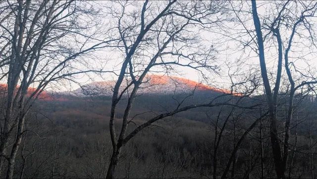 $1,550,000 | 2875 Hickory Cove, Murphy, NC 28906