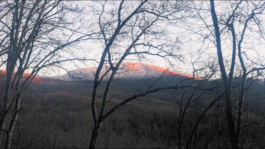 2875 Hickory Cove Murphy, NC 28906 - Photo 78 of 87