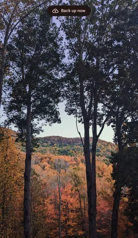a dining room with stainless steel appliances a table and chairs