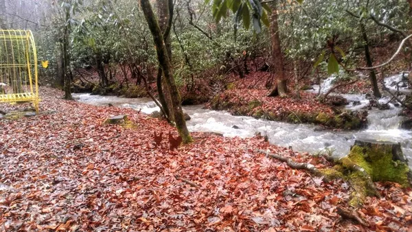 $1,449,000 | 2875 Hickory Cove, Murphy, NC 28906