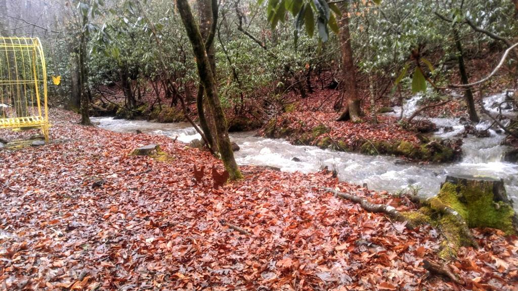 2875 Hickory Cove Murphy, NC 28906 - Photo 84 of 87 a view of a yard with a tree