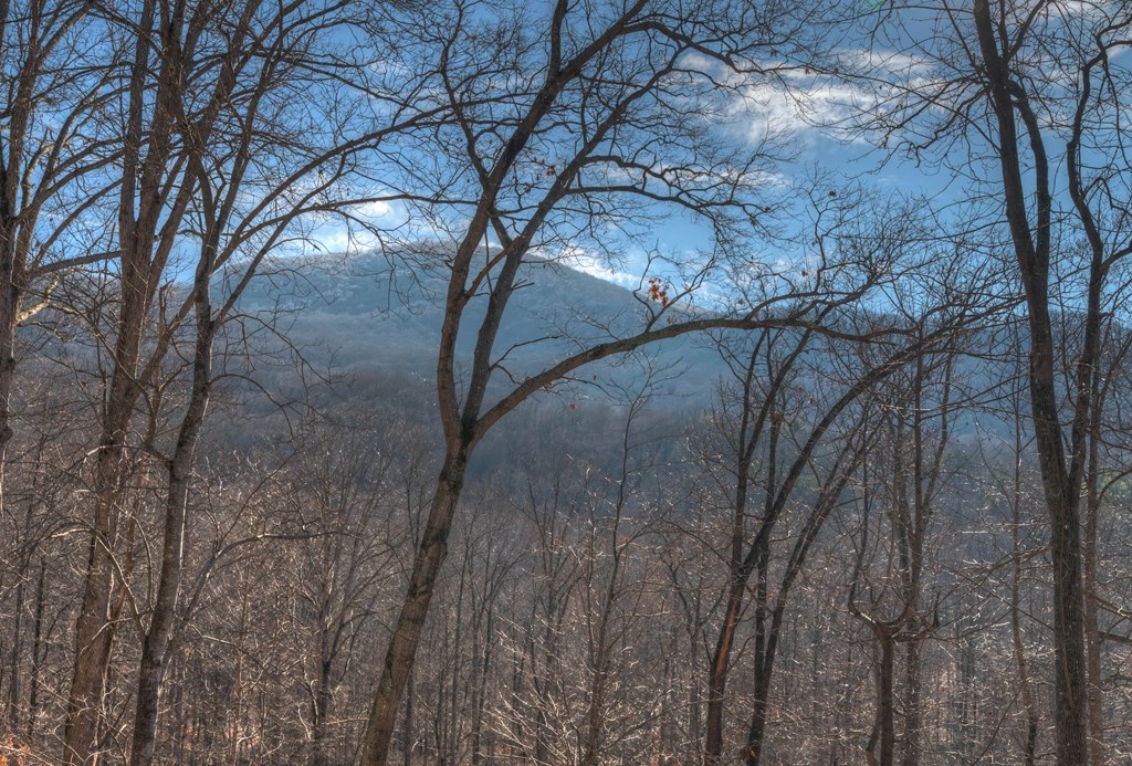 2875 Hickory Cove Murphy, NC 28906 - Photo 9 of 87