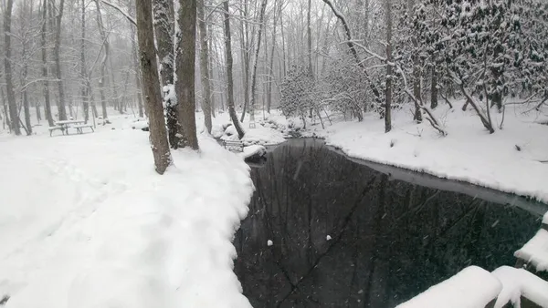 $1,449,000 | 2875 Hickory Cove, Murphy, NC 28906