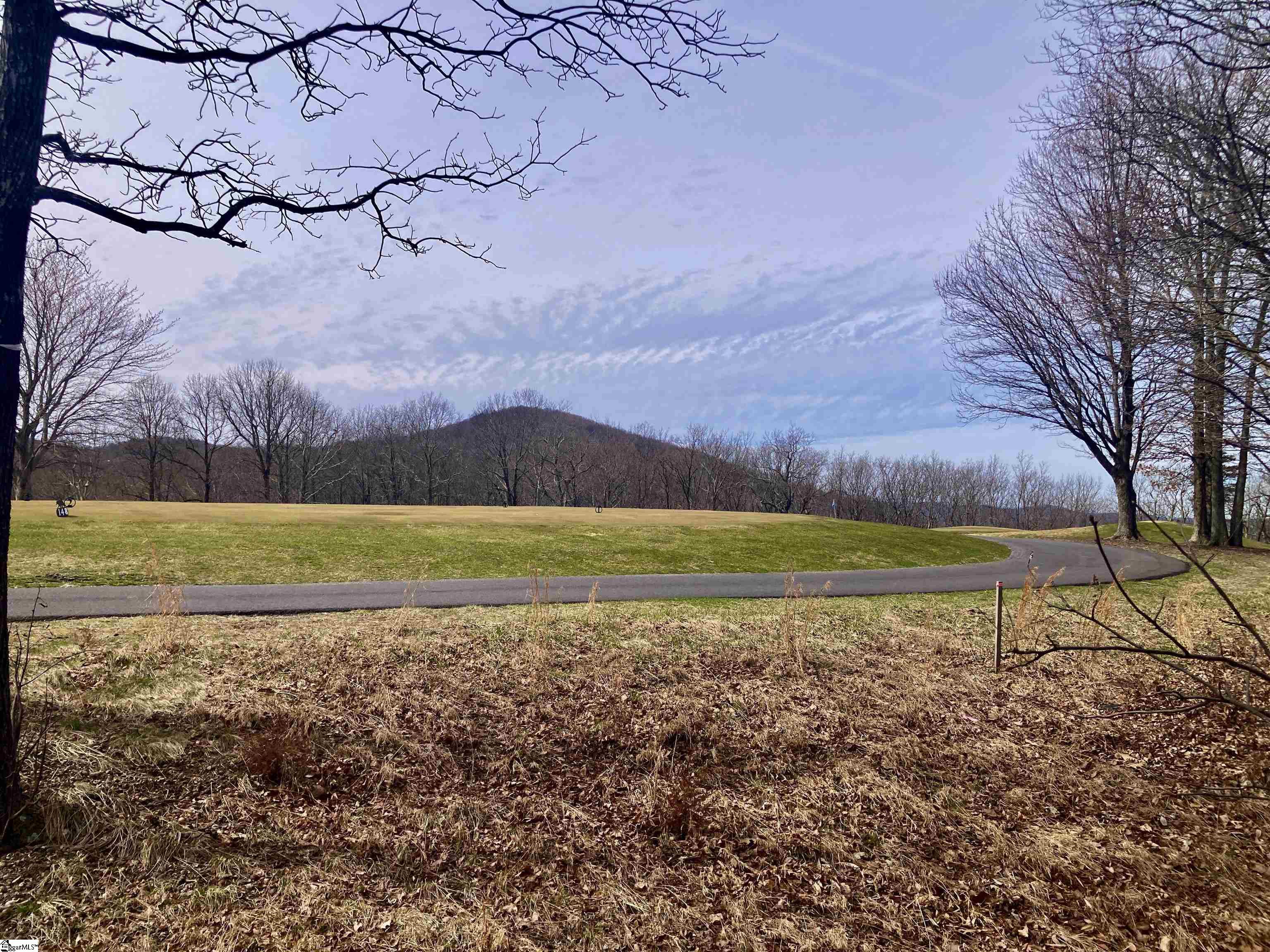 223 May Apple Way Landrum, SC 29356 - Photo 2 of 16