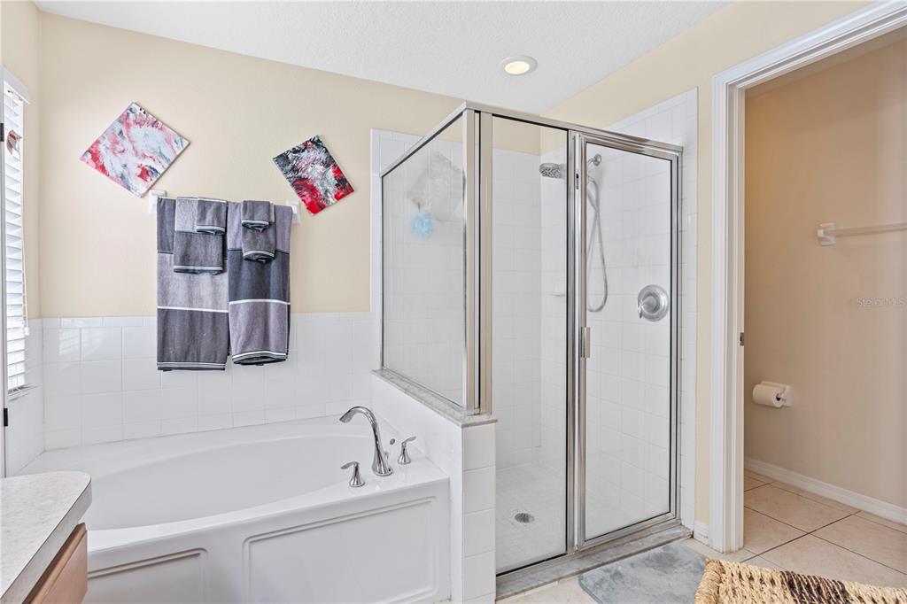 4667 Hickory Stream Lane Mulberry, FL 33860 - Photo 19 of 41 a bathroom with a shower and a tub