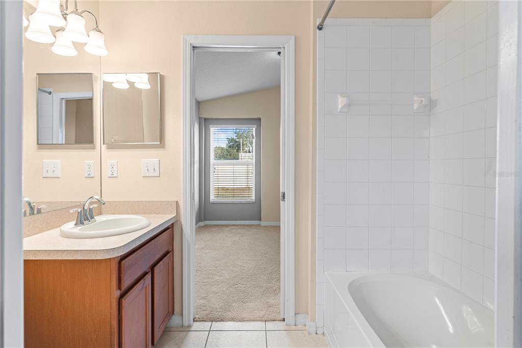 4667 Hickory Stream Lane Mulberry, FL 33860 - Photo 29 of 41 a bathroom with a sink a mirror and a bathtub