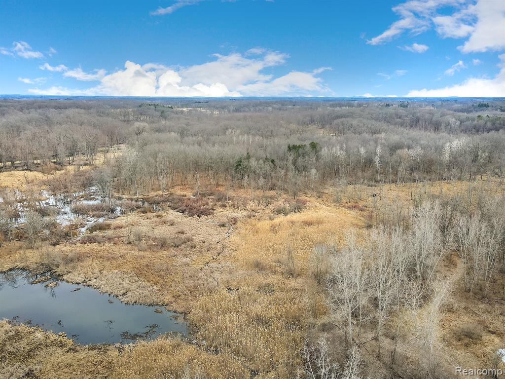 0 Lovejoy Road Byron, MI 48418 - Photo 10 of 14