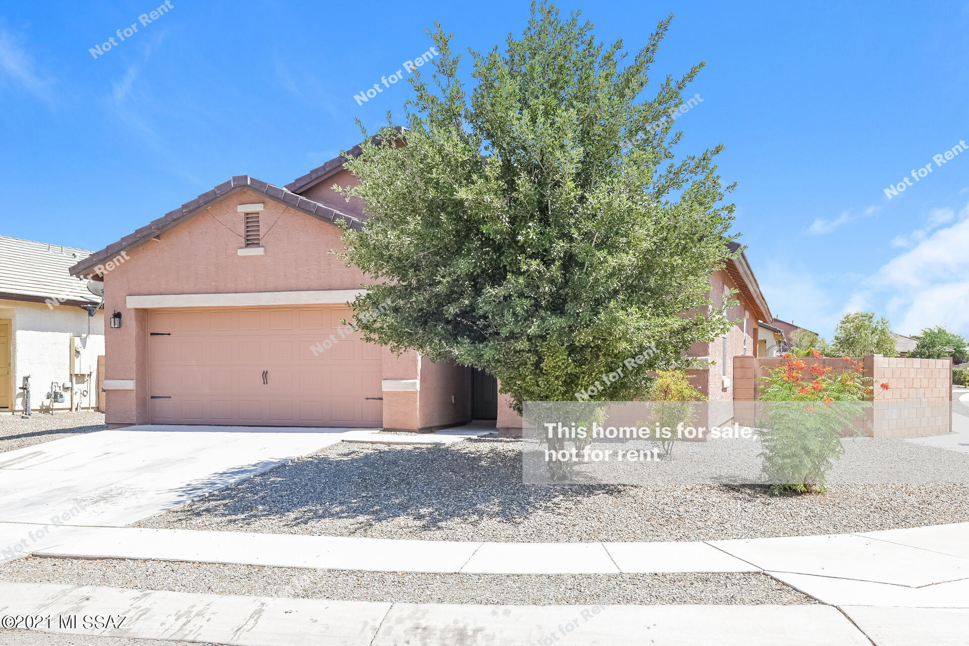 8297 West Razorbill Drive Tucson, AZ 85757 - Photo 1 of 27