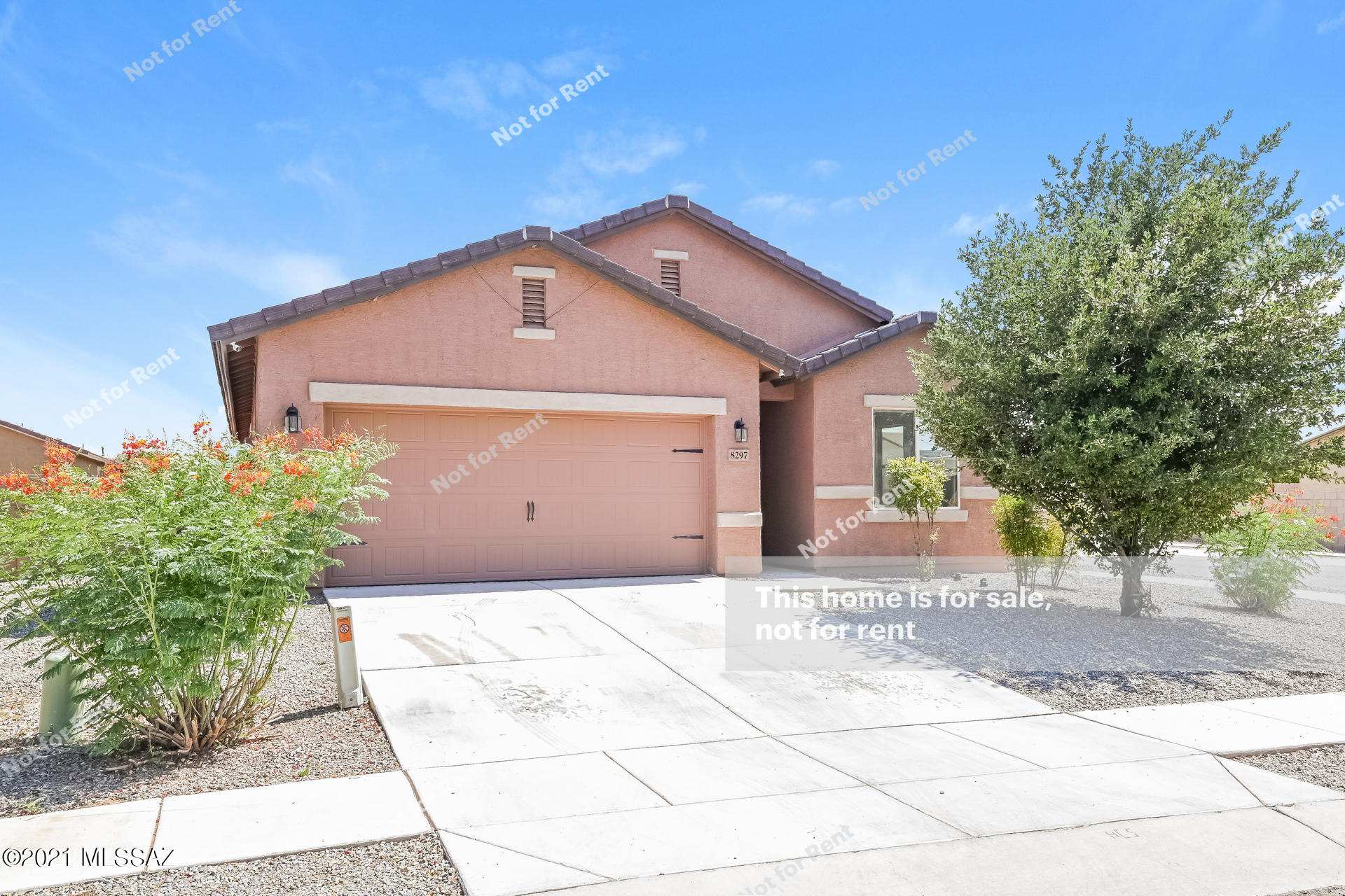 8297 West Razorbill Drive Tucson, AZ 85757 - Photo 8 of 27
