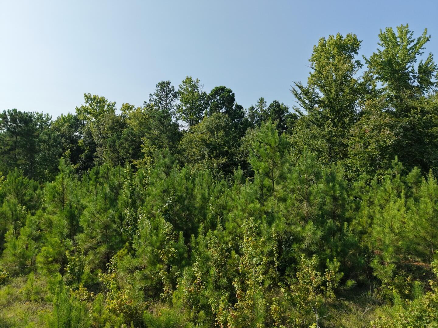 3096 State Rd S-20-33, Unit 2 Blair, SC 29015 - Photo 19 of 32 DJI_20260811170938_0263_D (Large)