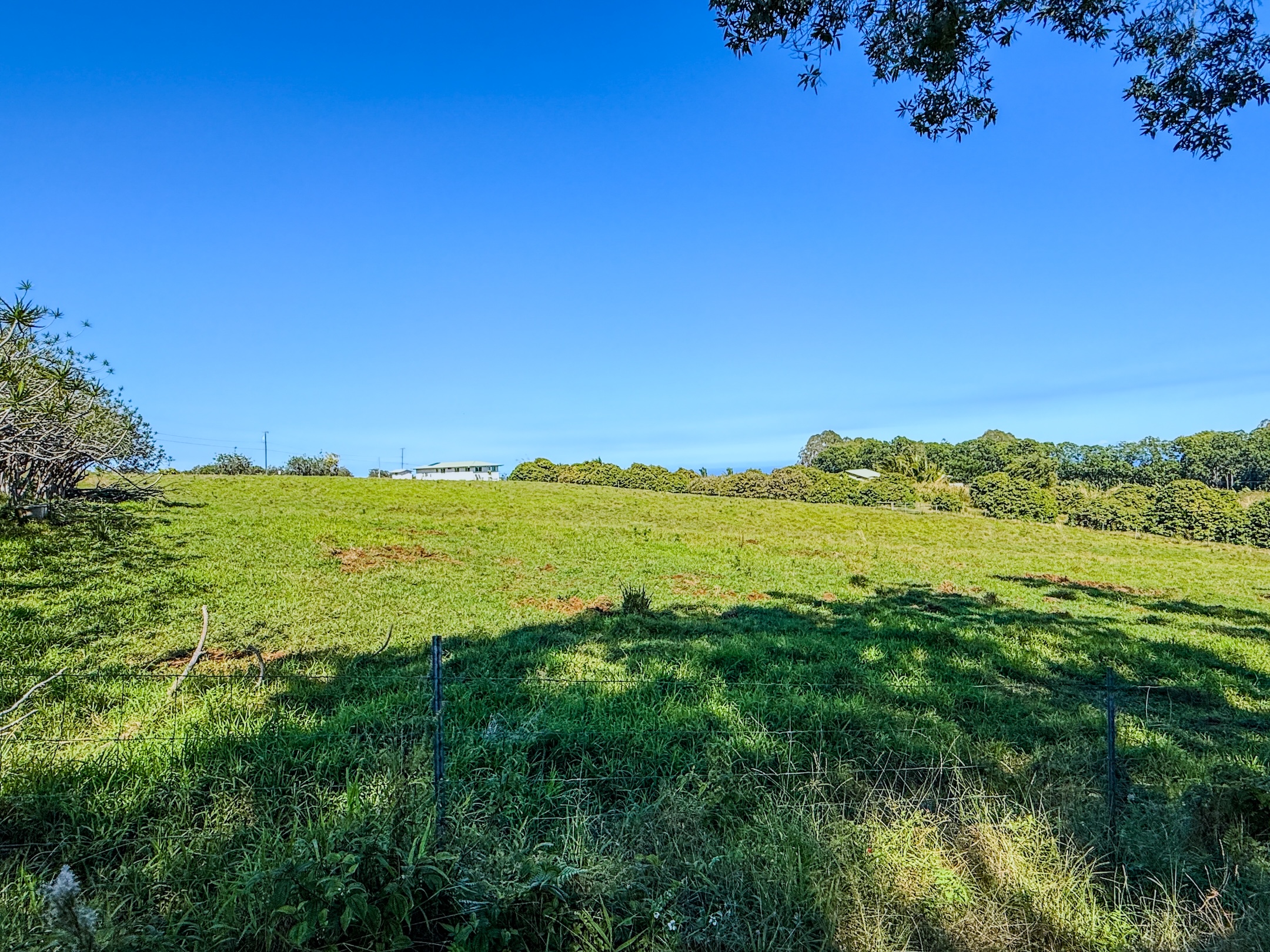 29-613 Lot Road Papaikou, HI 96781 - Photo 8 of 14 a view of a lake with a city