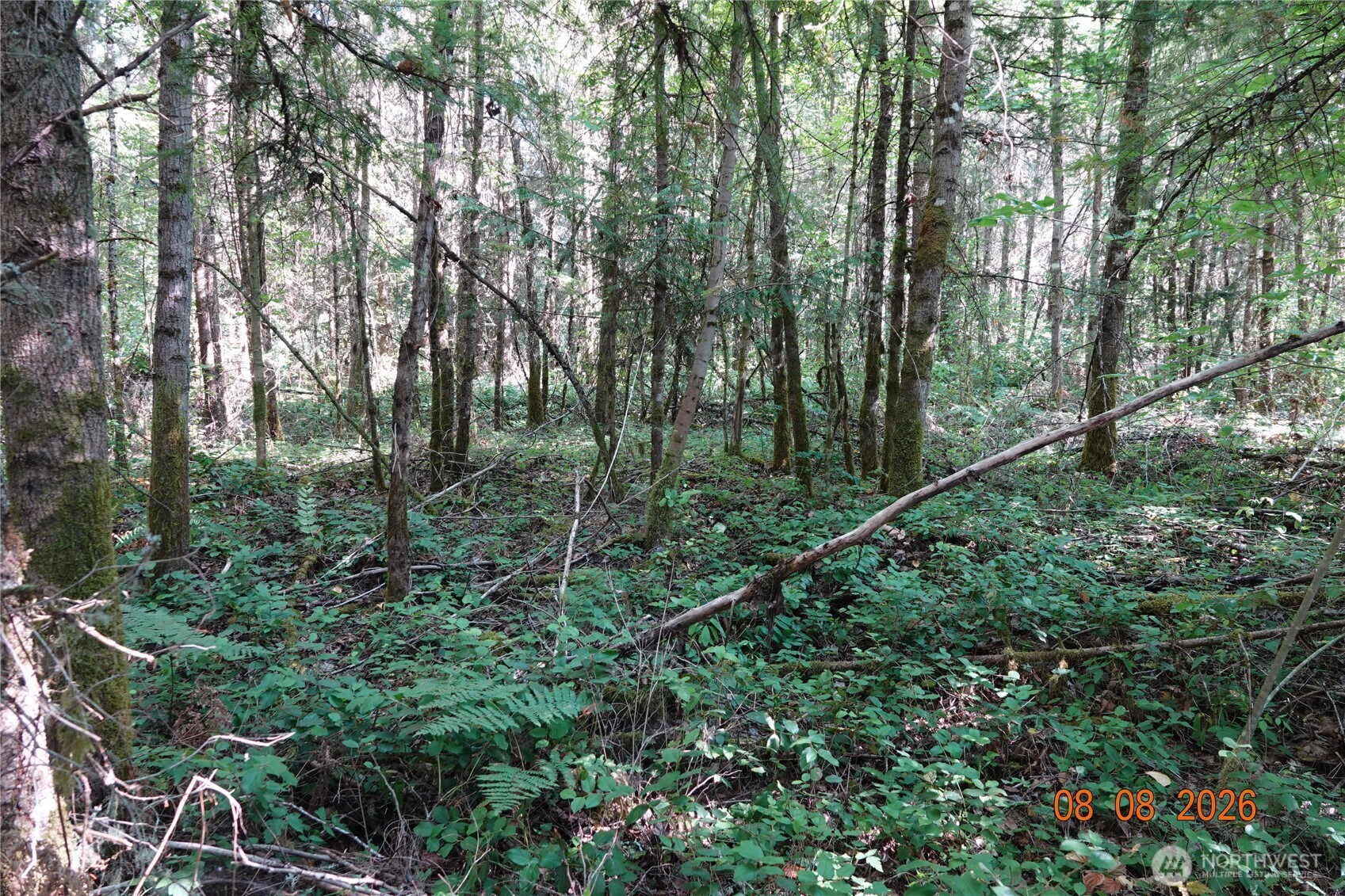 41102 Tanwax Road South Roy, WA 98580 - Photo 13 of 22 Gallery Image 13