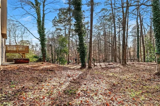 a view of a yard with trees