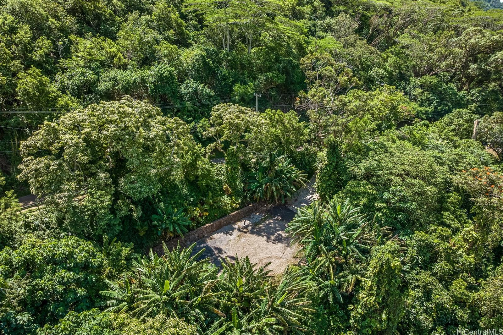 2640 Lai Road, Unit E Honolulu, HI 96816 - Photo 15 of 25 a backyard of a house with lots of green space