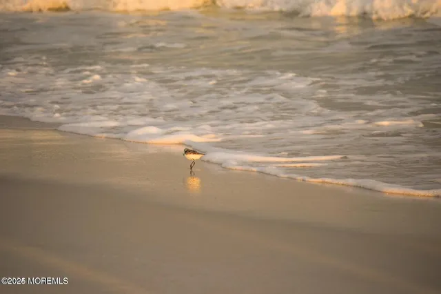 a view of an ocean and beach