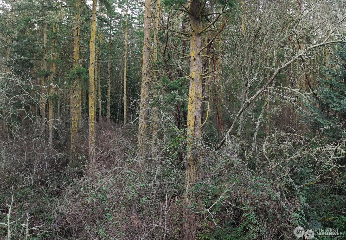 927 Bell Street Port Townsend, WA 98368 - Photo 3 of 5