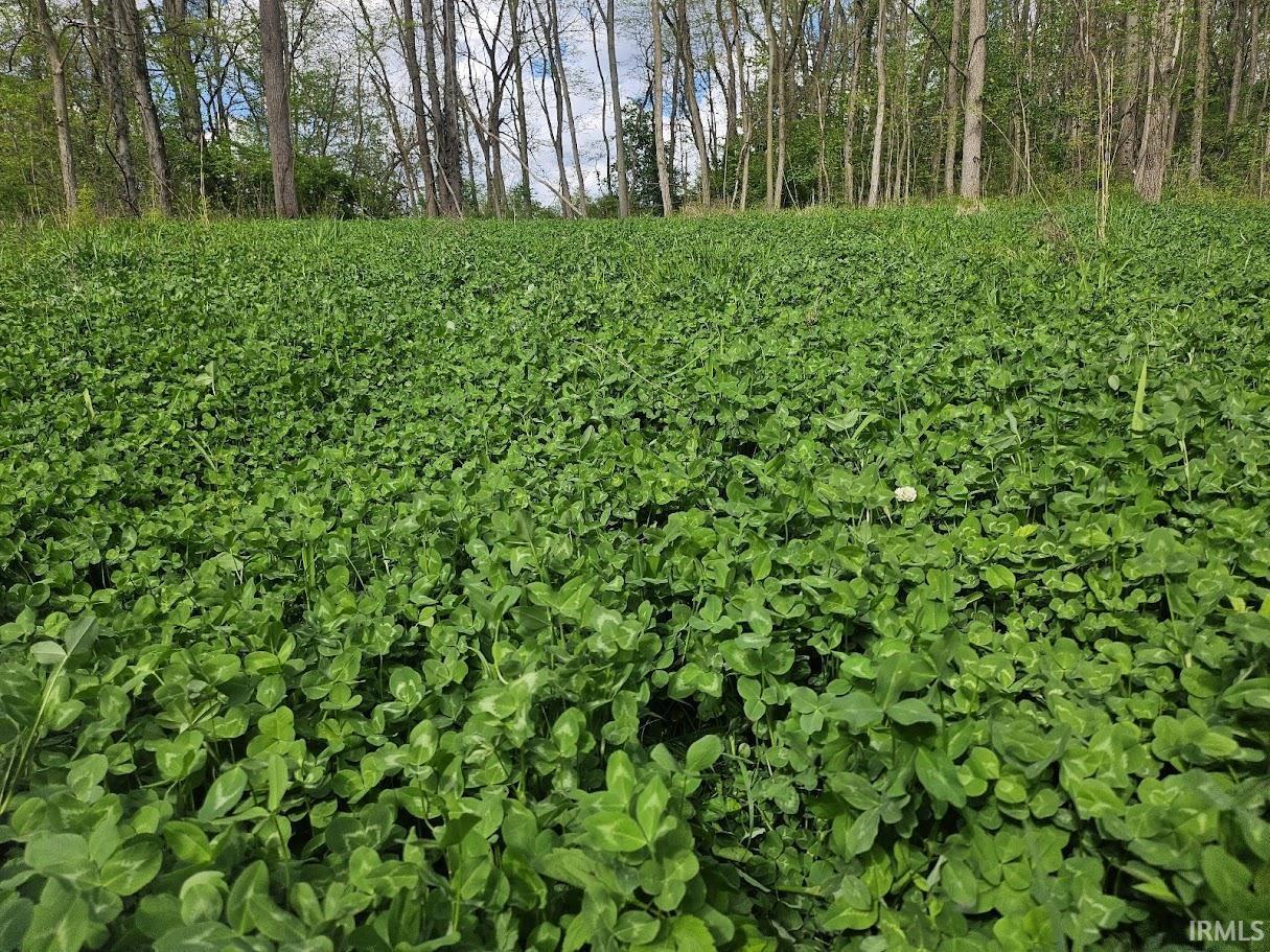 14 East Silver Lake Claypool, IN 46510 - Photo 10 of 21