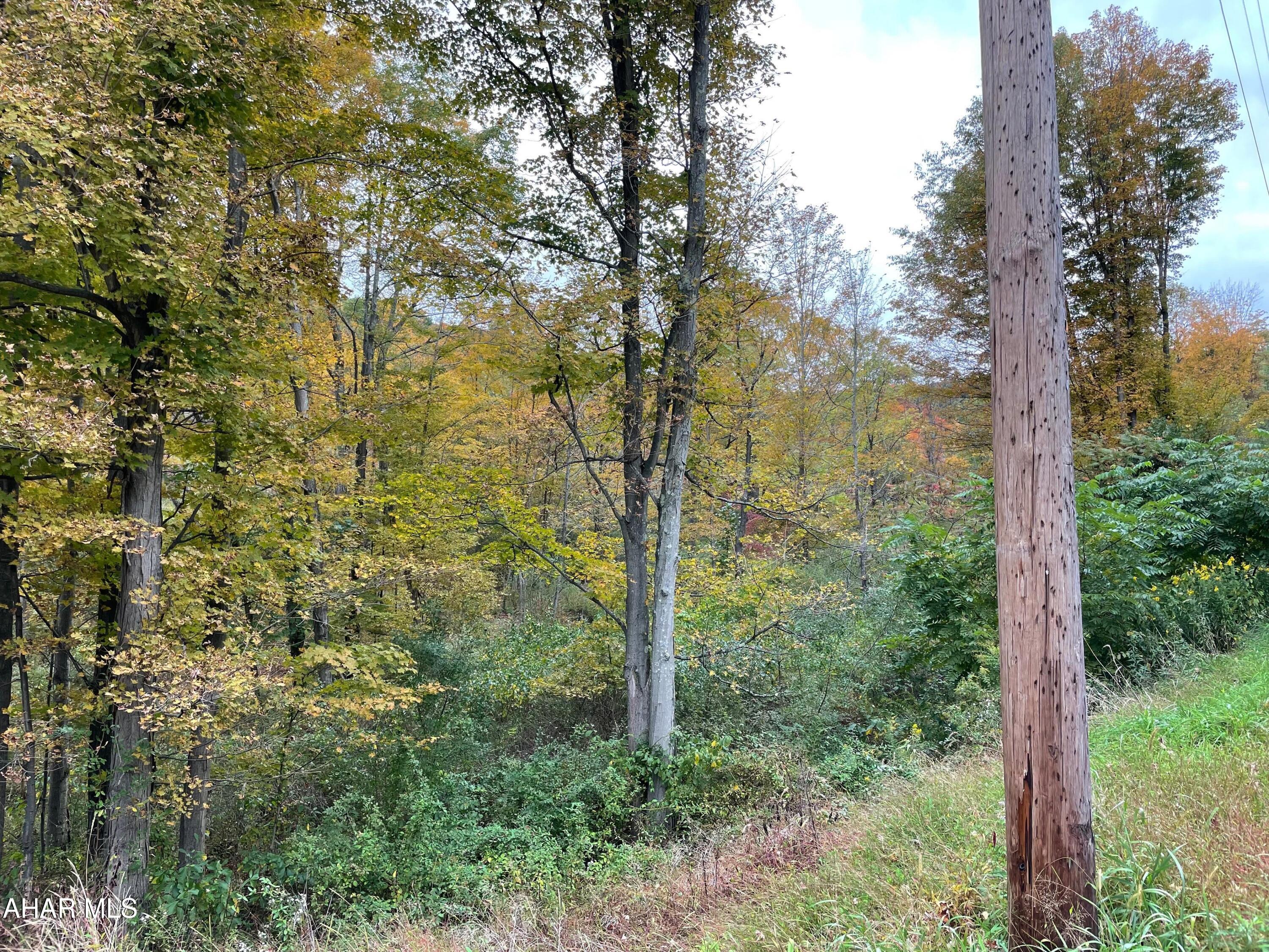 2491 Baughman Cemetery Road Tyrone, PA 16686 - Photo 2 of 19