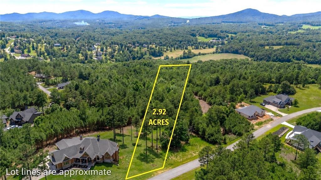 276 Ridge Pointe Way Blairsville, GA 30512 - Photo 1 of 15 a view of a forest with a forest