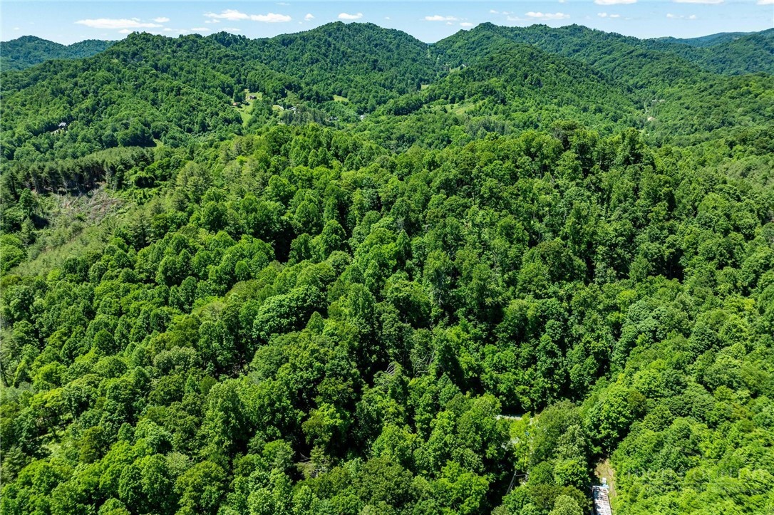 Smith Street Vilas, NC 28692 - Photo 22 of 36
