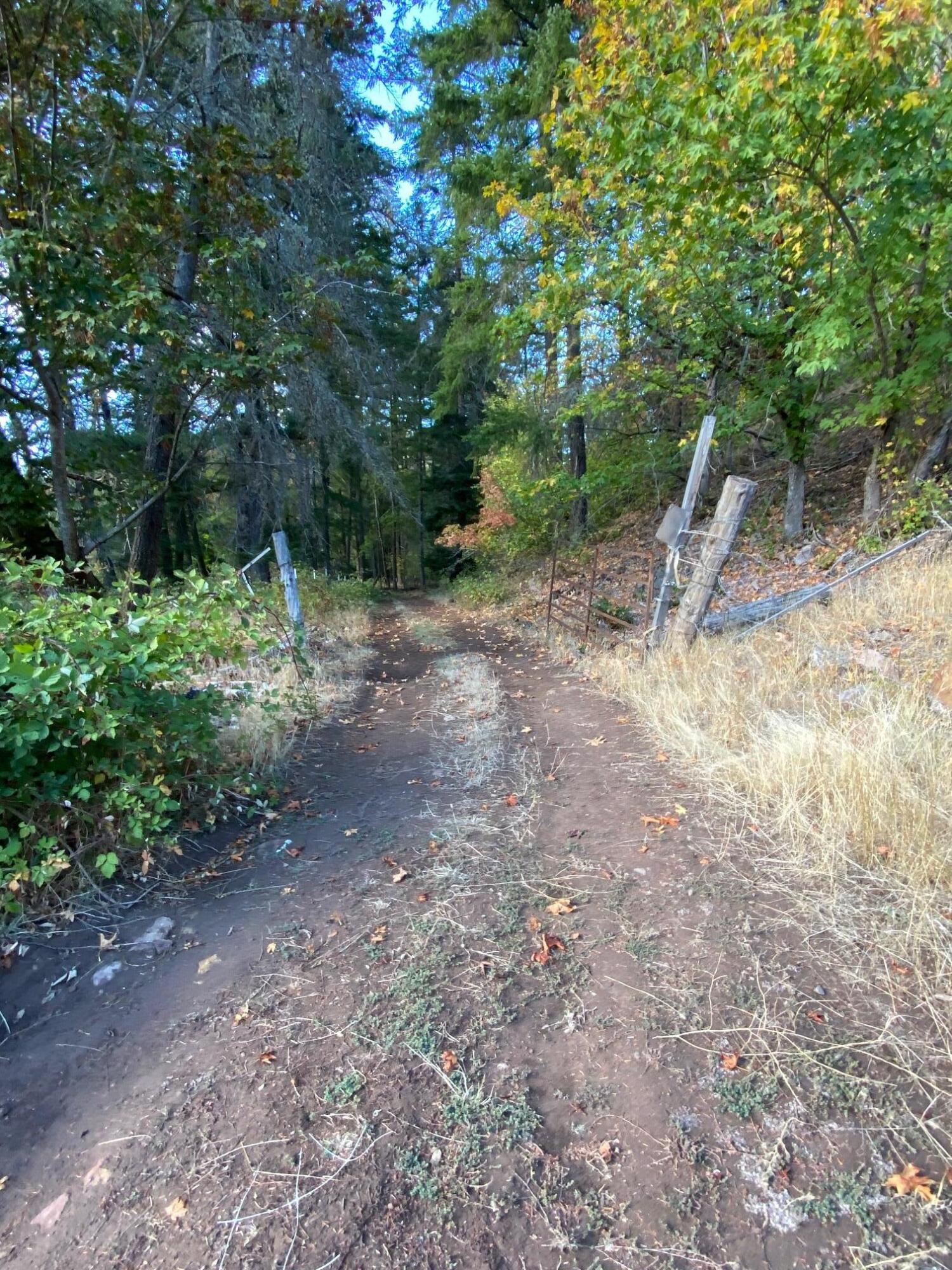 0 Elk Creek Road, Unit 500 Trail, OR 97541 - Photo 15 of 44 headed out the gate from the property