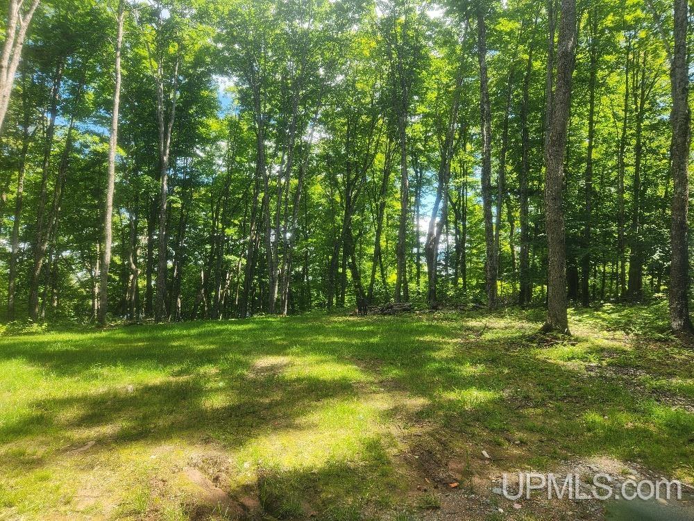 Tbd West Tamarack Lake Road, Unit LOT 5 Watersmeet, MI 49969 - Photo 18 of 66