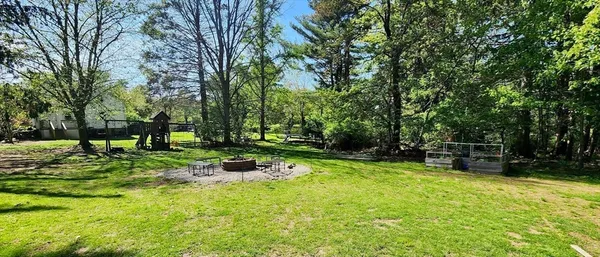 a view of a park with large trees