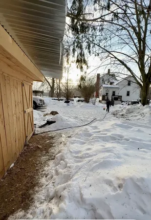 a view of backyard with trees