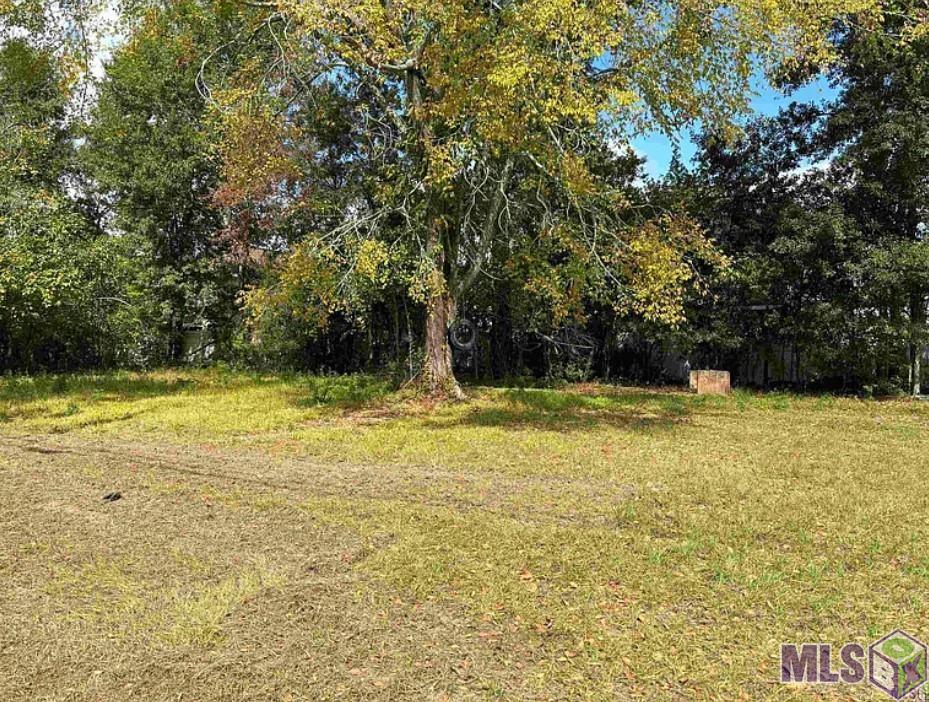 545 Cotton Street Baton Rouge, LA 70802 - Photo 2 of 3