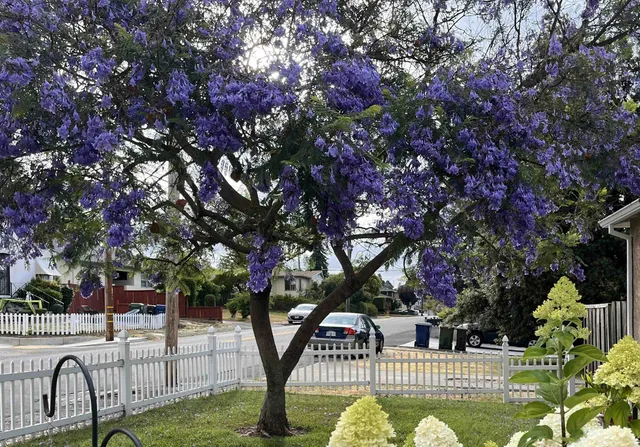 $759,000 | 3975 Wilson Avenue, Castro Valley, CA 94546