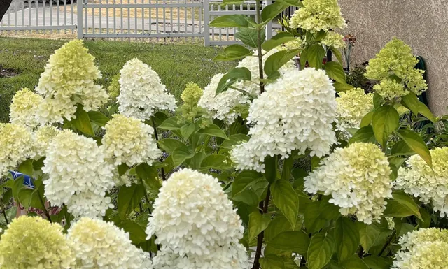 $759,000 | 3975 Wilson Avenue, Castro Valley, CA 94546