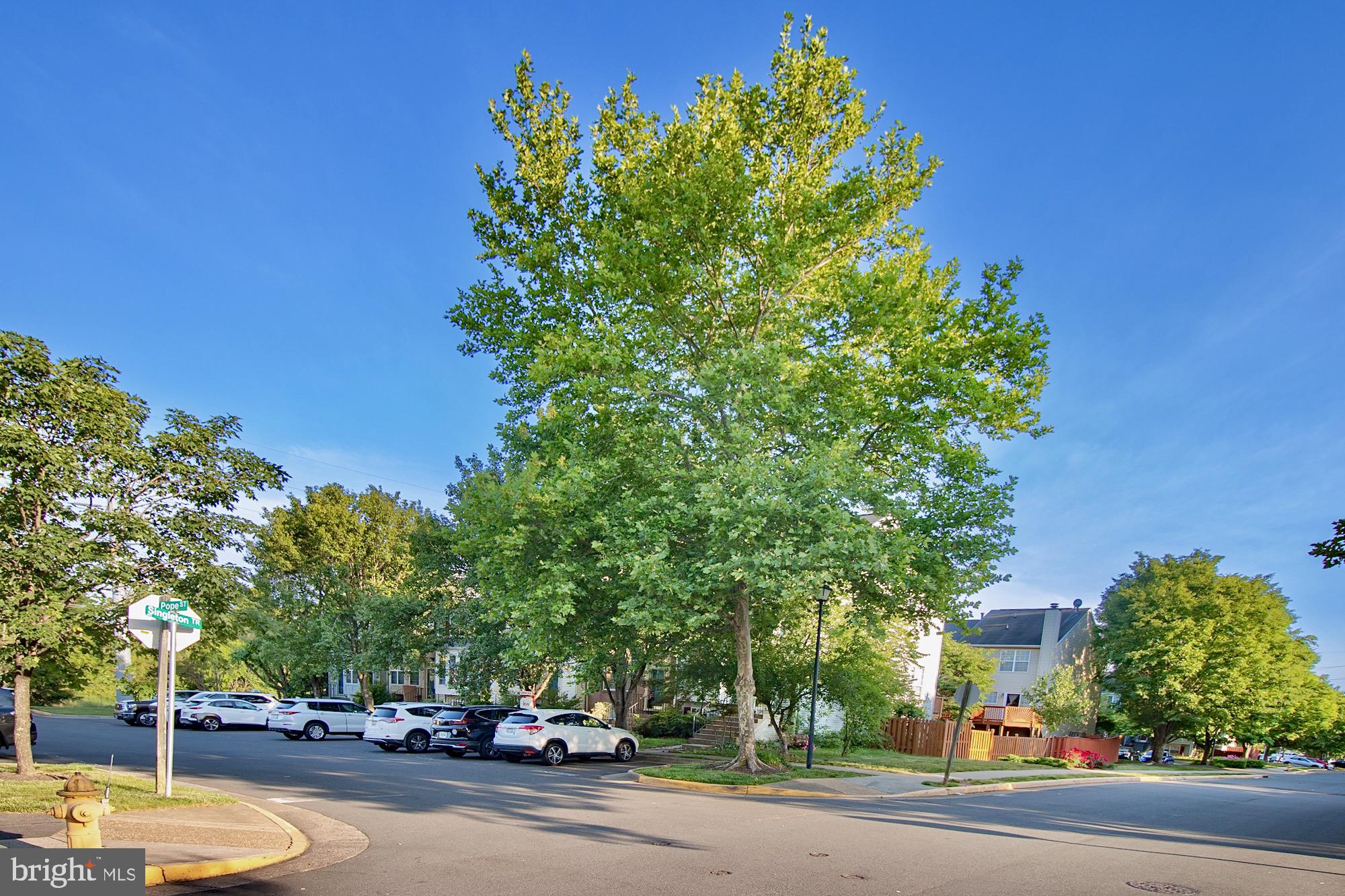 8302 Singleton Terrace Manassas, VA 20109 - Photo 25 of 26