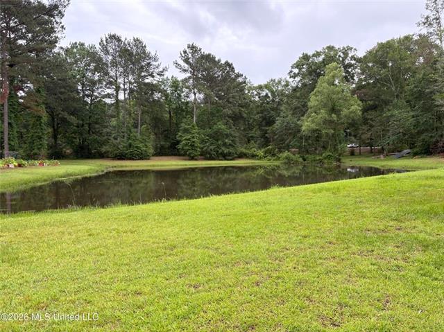 367 44th Highway Jayess, MS 39641 - Photo 2 of 38