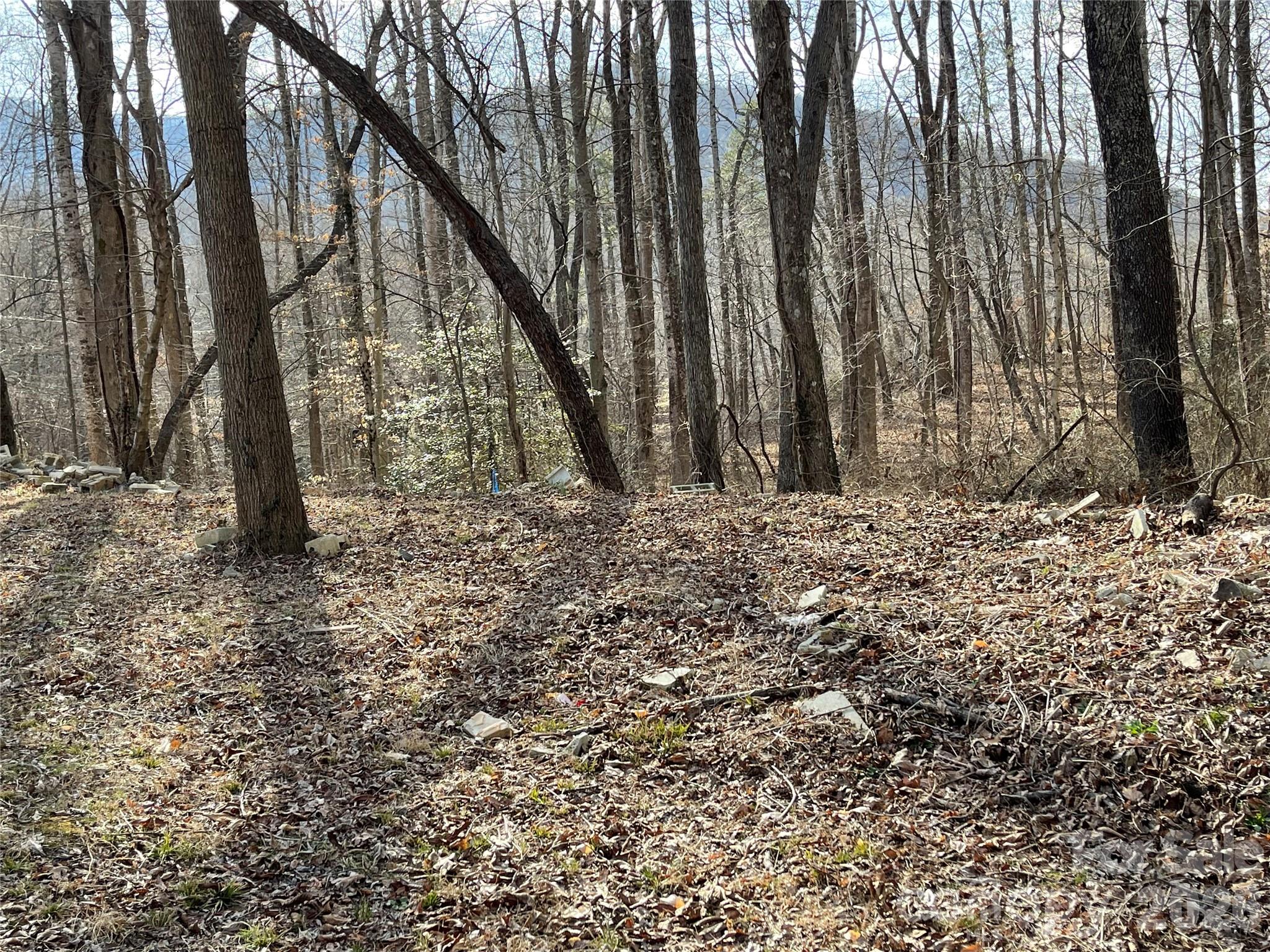 0 Max Metcalf Road Swannanoa, NC 28778 - Photo 1 of 17