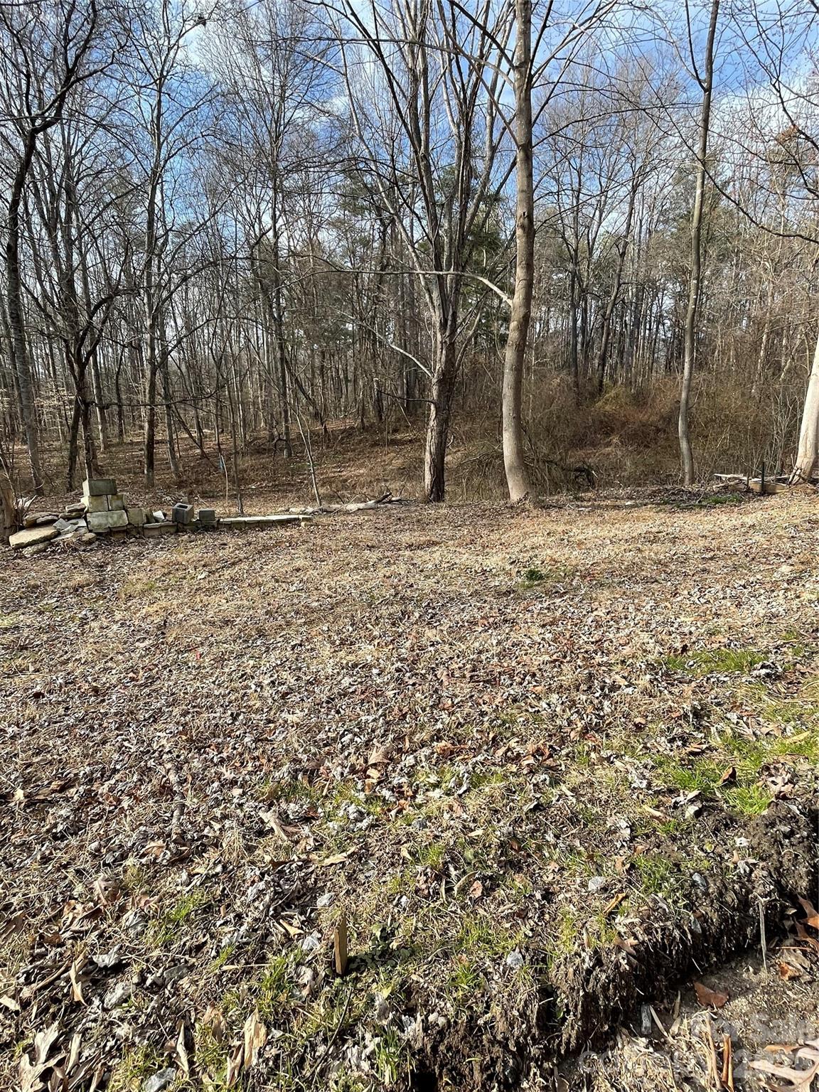 0 Max Metcalf Road Swannanoa, NC 28778 - Photo 12 of 17