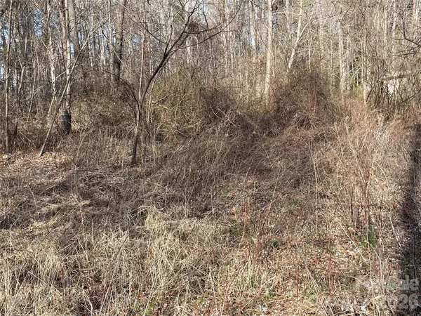 $52,500 | 0 Max Metcalf Road, Swannanoa, NC 28778