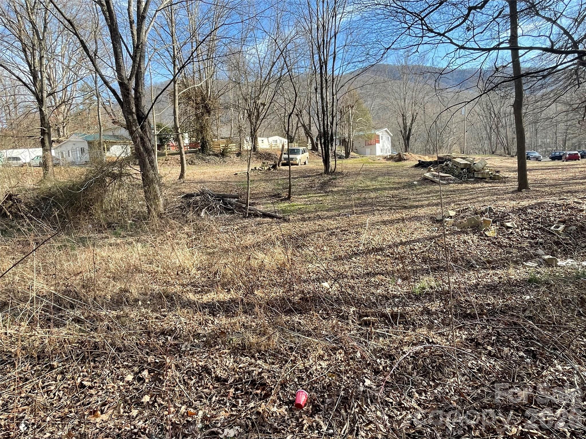 0 Max Metcalf Road Swannanoa, NC 28778 - Photo 4 of 17