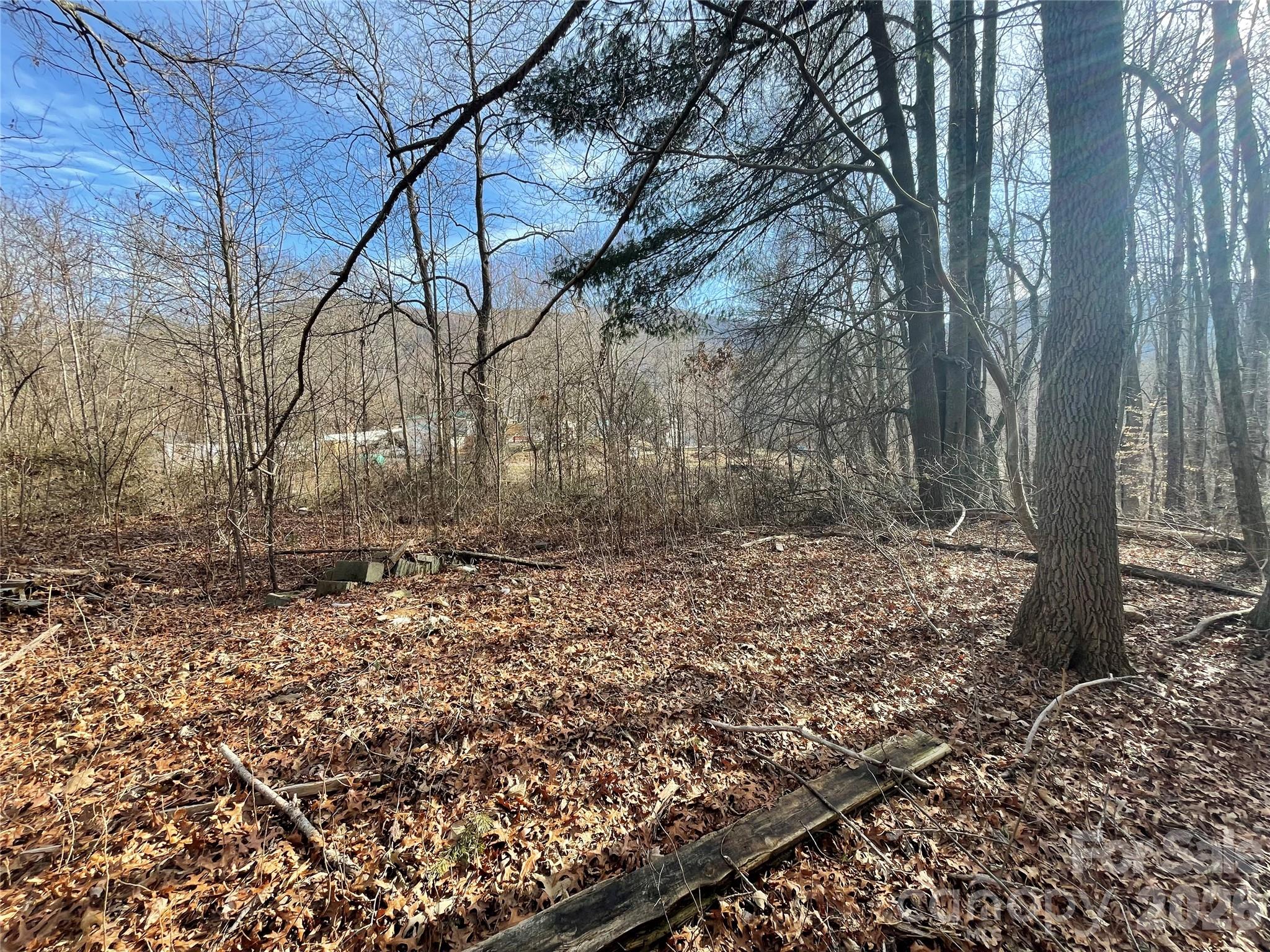 0 Max Metcalf Road Swannanoa, NC 28778 - Photo 5 of 17